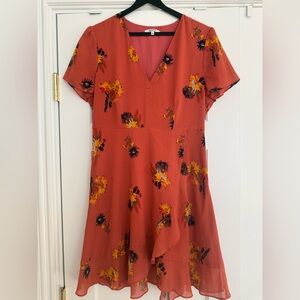 Madewell Dress